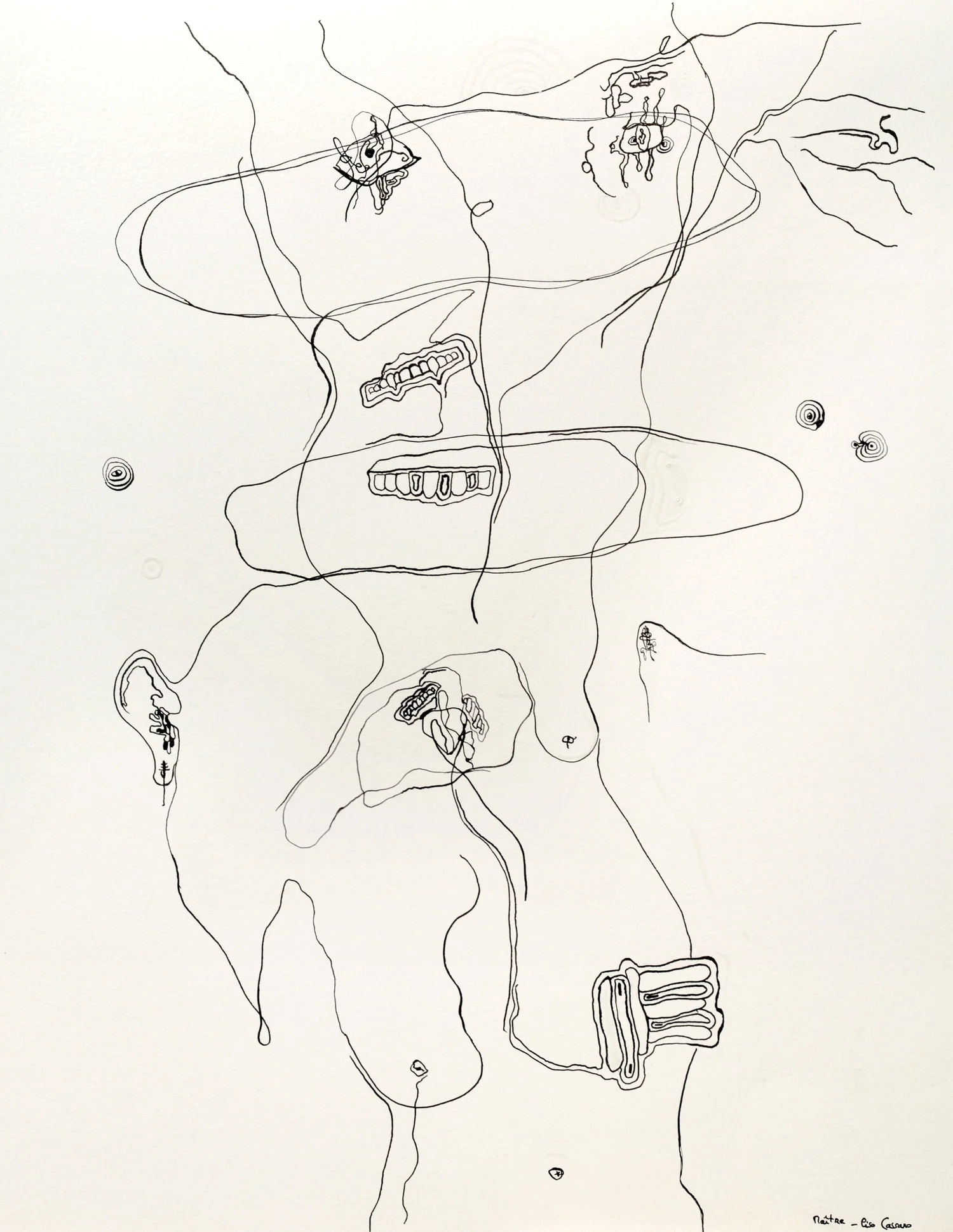 Corporeal Geography - Maître — encre de chine, 2024